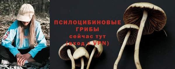 spice Балабаново
