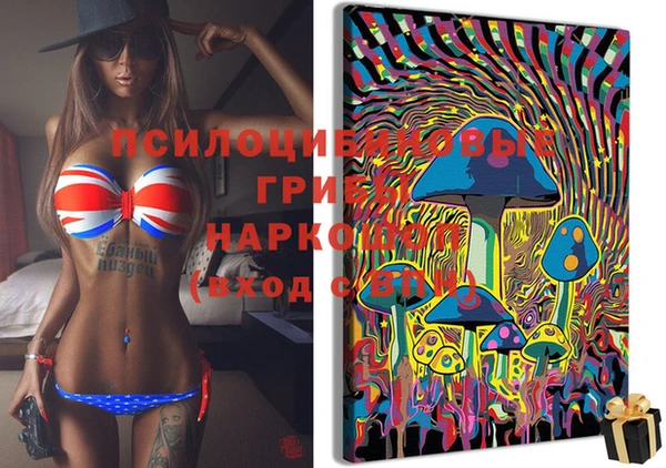 spice Балабаново