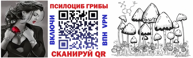 blacksprut tor  Курильск  Псилоцибиновые грибы Cubensis 